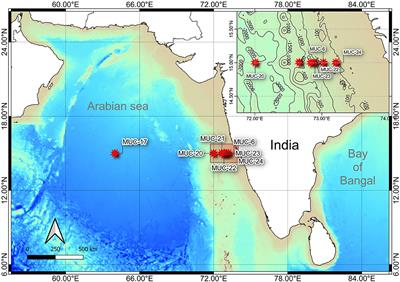 Distribution Pattern of the Benthic Meiofaunal Community Along the Depth Gradient of the Western Indian Continental Margin, Including the OMZ and Abyssal Plain